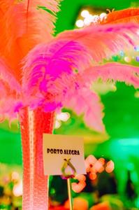 Carnival of Colour Rio Christmas Party 2025 Chester
