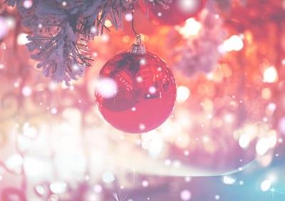 Celebrate Christmas Parties 2024 at DoubleTree by Hilton Bristol City Centre