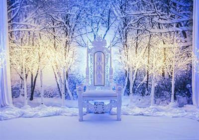 Enchanted Forest Christmas Parties 2025 in Newquay