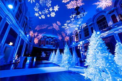 Enchanted Forest Christmas Parties 2025 in Newquay