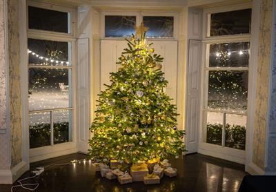 Christmas Parties 2025 at Morden Hall, SM4