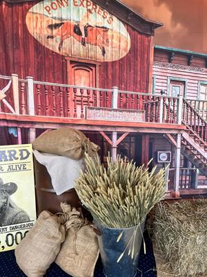 Wild West Hoedown Christmas Party in Central London 2025