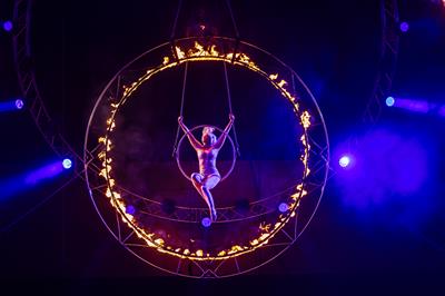 Stargazer Christmas Parties 2026 at Arena MK, Milton Keynes