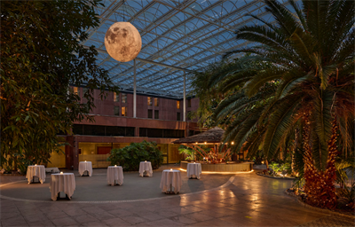 Christmas Parties 2026 at Sheraton Skyline Hotel London Heathrow