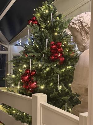 Celebrate Christmas Parties 2026 at Winchester Royal Hotel
