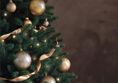 Christmas Parties 2026 at the Copthorne Hotel Cardiff