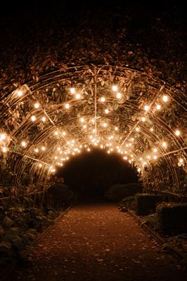 Cosy Botanical Christmas Parties 2026 at Pippley Walled Garden, Beeston, Nottingham