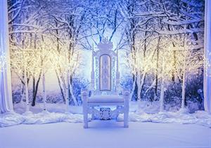 Enchanted Forest Christmas Parties 2025, Leicester (Exclusive)