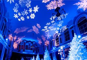 Enchanted Forest Christmas Parties 2025, Leicester (Exclusive)