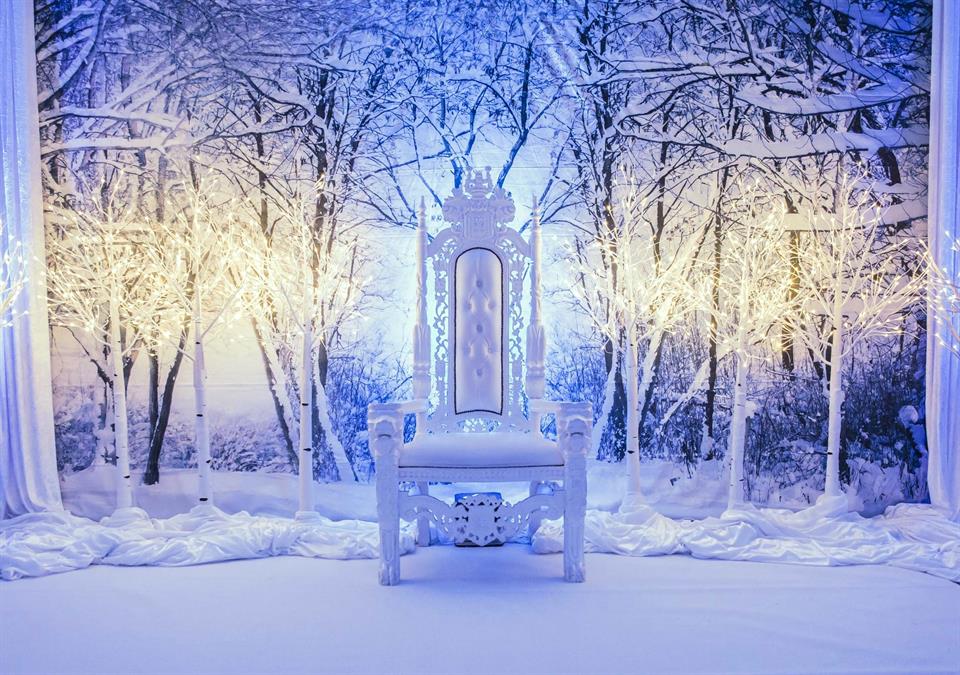Enchanted Forest Christmas Parties 2025, Bristol (Exclusive)