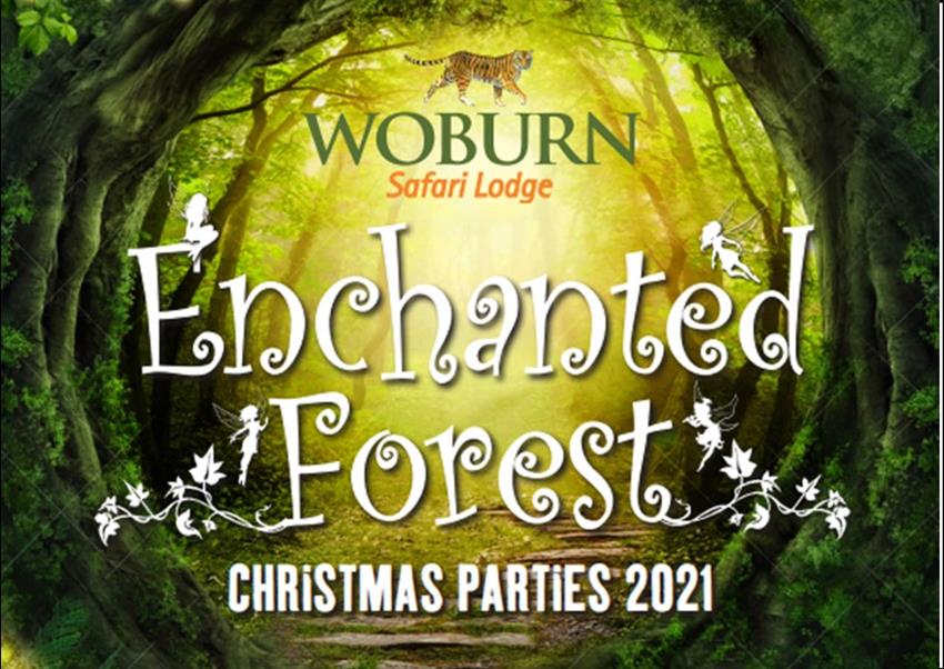 Christmas Safari 2022 Enchanted Forest Christmas Parties 2022 At Woburn Safari Lodge, Near Milton  Keynes | Office Xmas Venue And Party Nights From Christmas Parties Unlimited