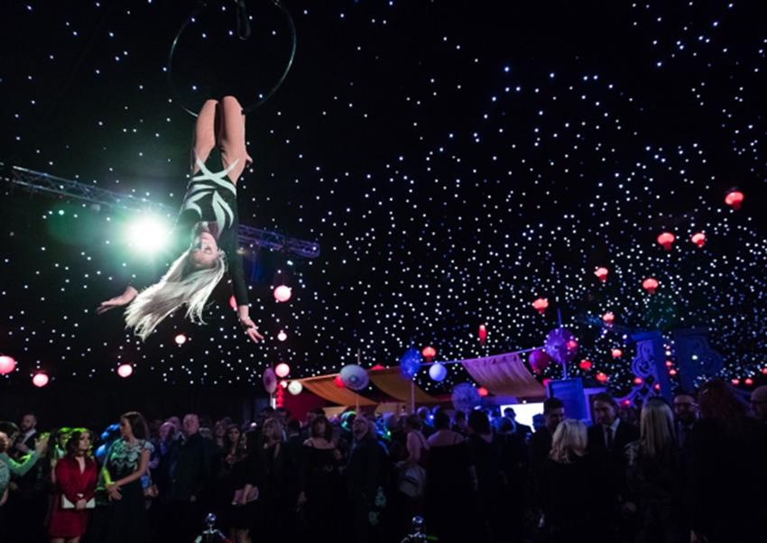 Christmas Safari 2022 Electric Jungle Christmas Parties 2022 At Knowsley Safari Park, Liverpool |  Office Xmas Venue And Party Nights From Christmas Parties Unlimited