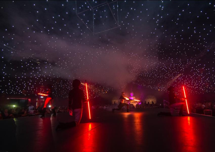 Electric Jungle Christmas Parties 2022 at Knowsley Safari Park, Liverpool Office Xmas Venue