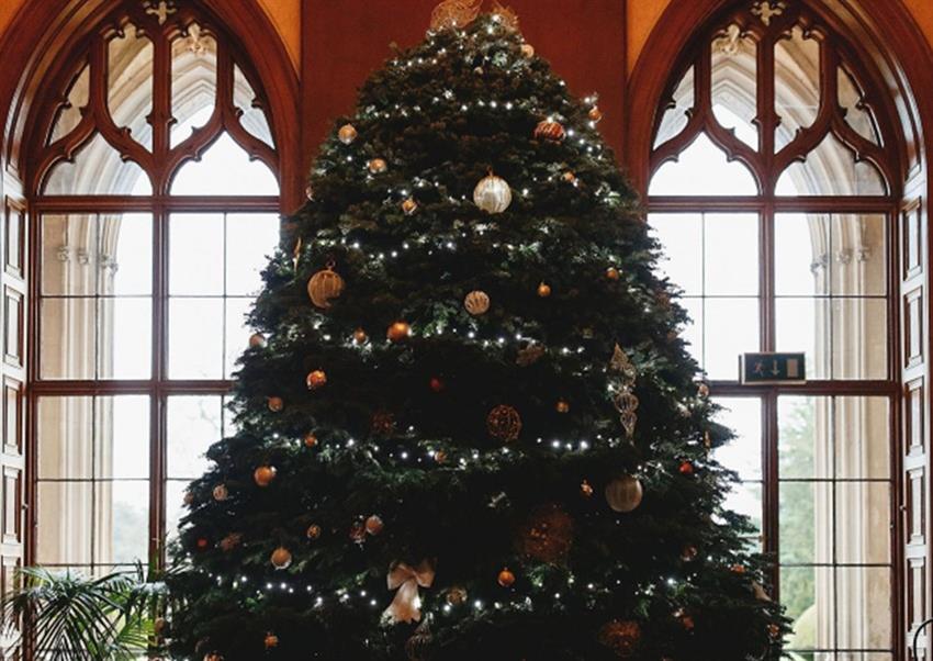 Christmas Parties 2023 at Ashridge House, Berkhamsted Office Xmas