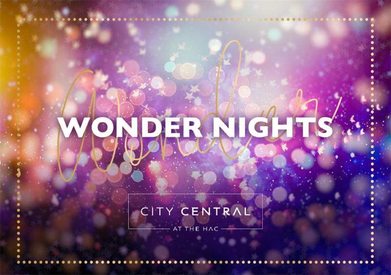Wonder Nights Christmas Party 2025 at HAC, London EC1