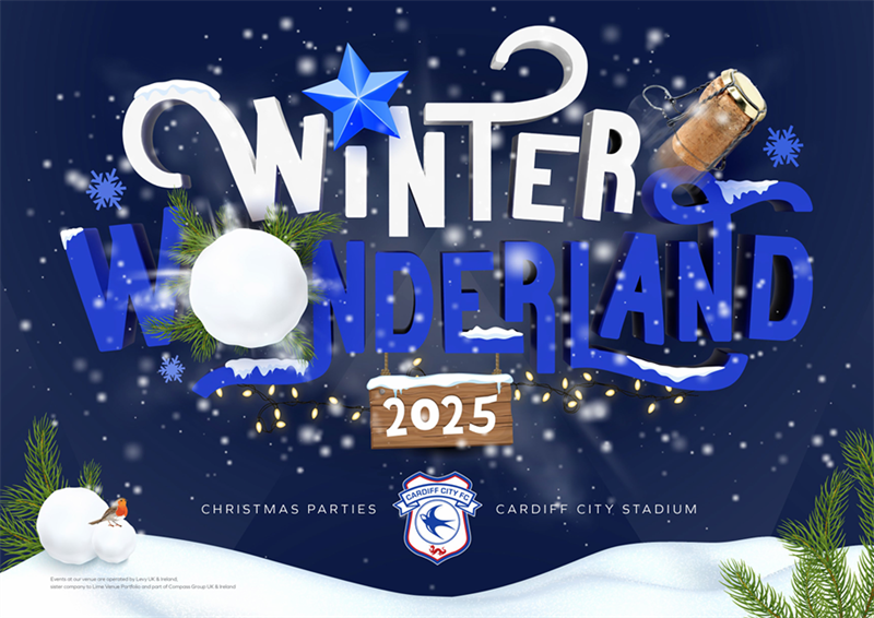 Winter Wonderland Christmas Parties 2025 at Cardiff City Stadium, Cardiff