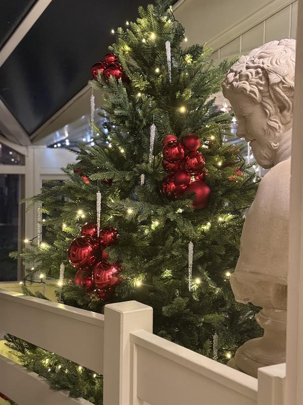 Celebrate Christmas Parties 2026 at Winchester Royal Hotel